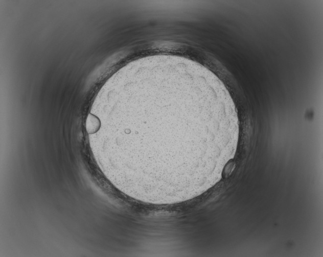 X0000115780734200912241810