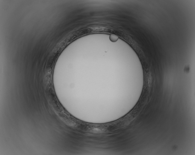 X0000115780737200912241810