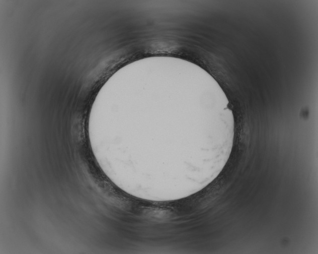 X0000115780743200912241810