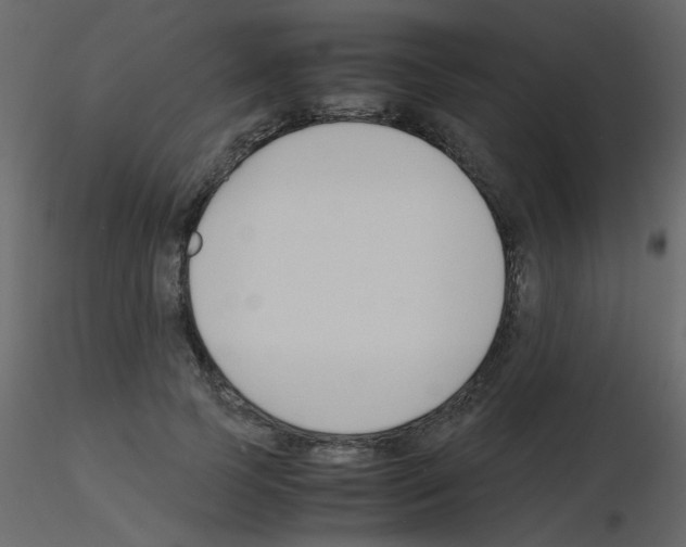 X0000115780745200912241810