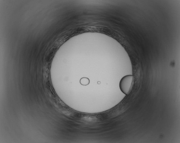 X0000115780749200912241810