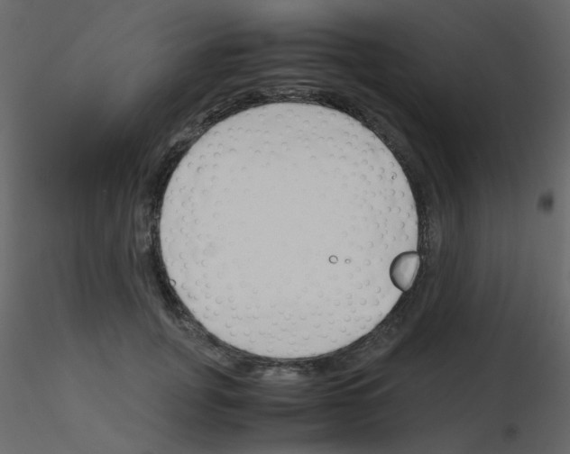 X0000115780751200912241810