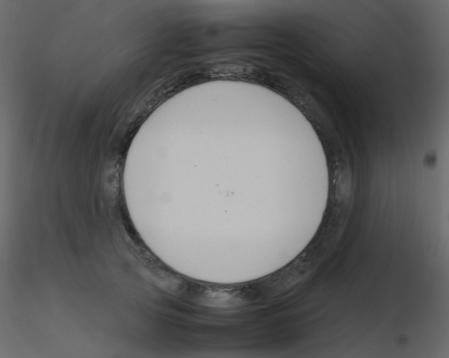 X0000115780753200912241810