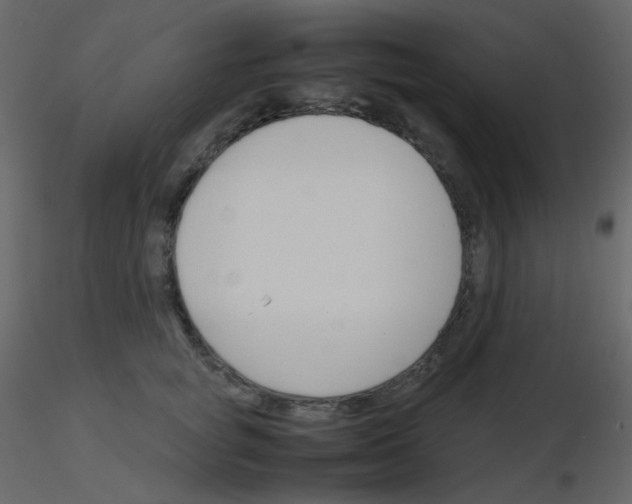 X0000115780757200912241810