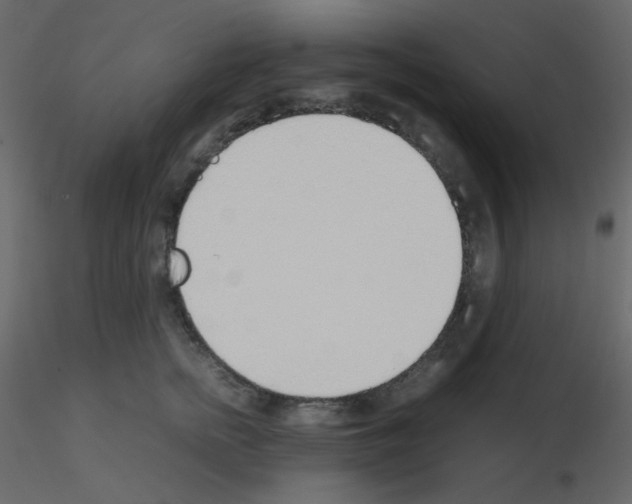 X0000115780758200912241810