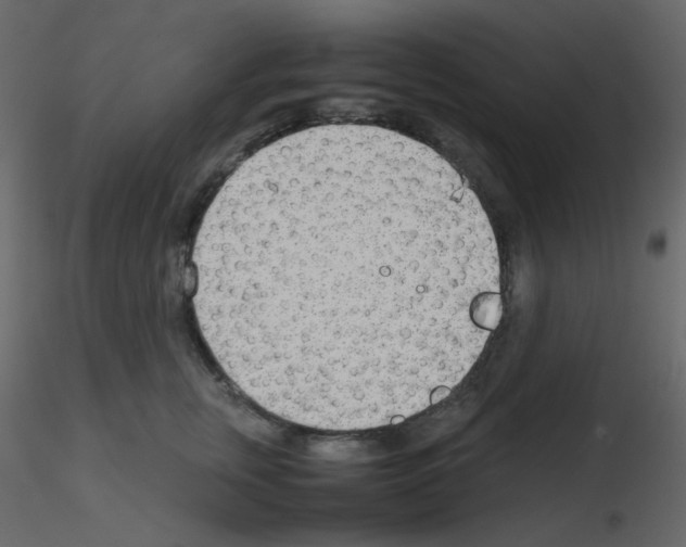 X0000115780759200912241810