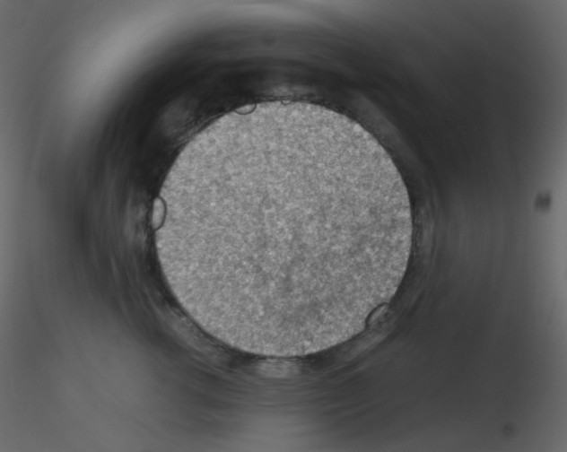 X0000115780762200912241810