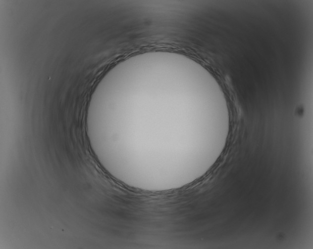 X0000115780769200912241810