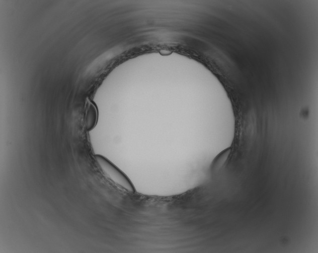 X0000115780773200912241810