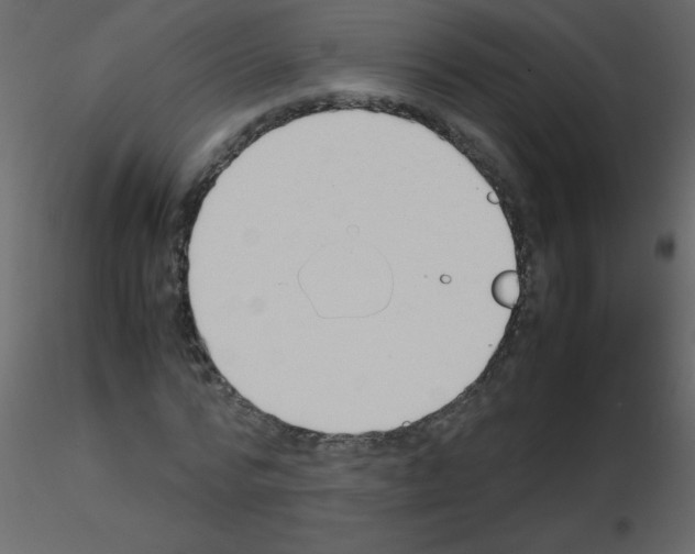 X0000115780776200912241810