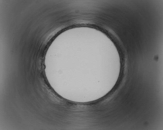 X0000115780777200912241810