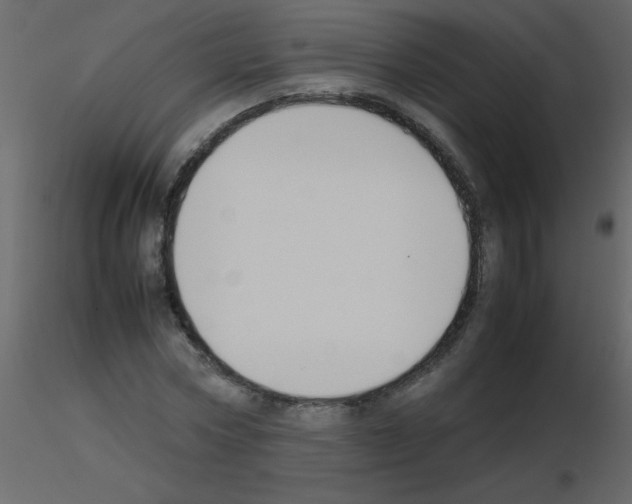 X0000115780778200912241810