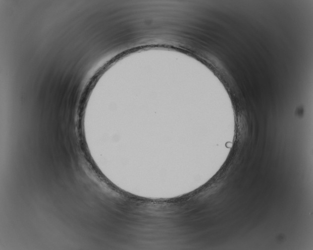 X0000115780780200912241810