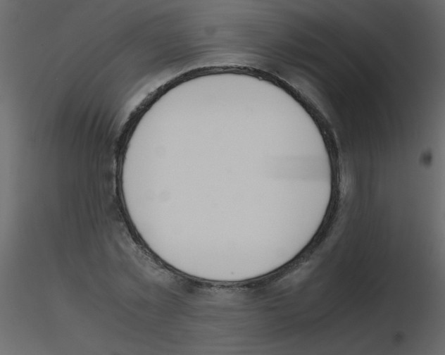 X0000115780781200912241810