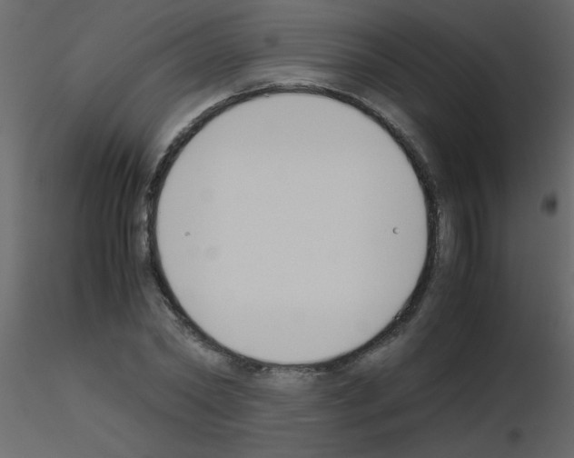 X0000115780782200912241810