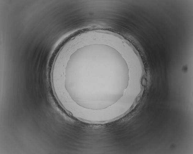 X0000115780784200912241810