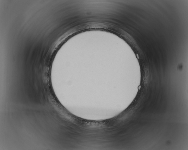 X0000115780786200912241810