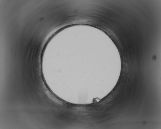 X0000115780792200912241810