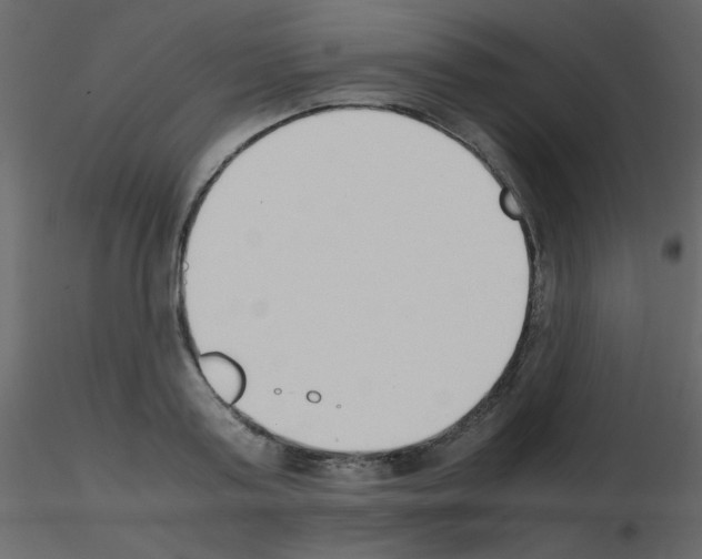 X0000115780795200912241809