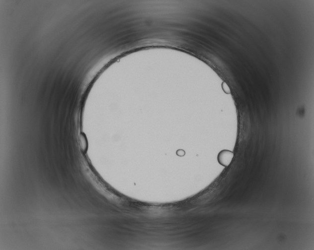 X0000115780796200912241809