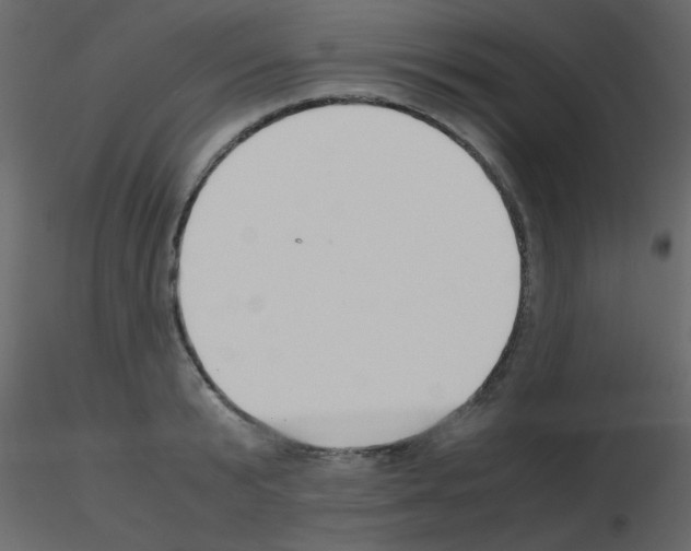 X0000115780799200912241809