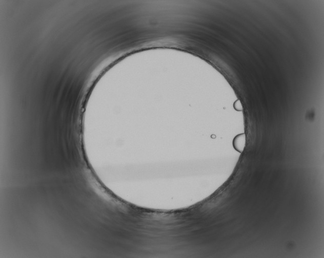 X0000115780800200912241809