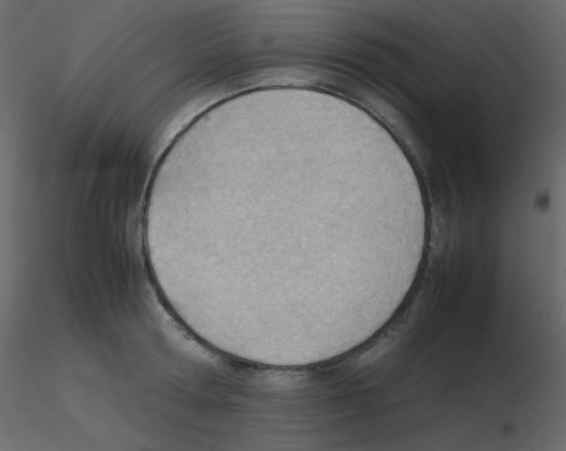 X0000115780802200912241809