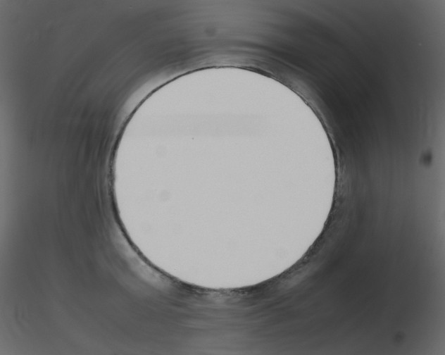 X0000115780803200912241809