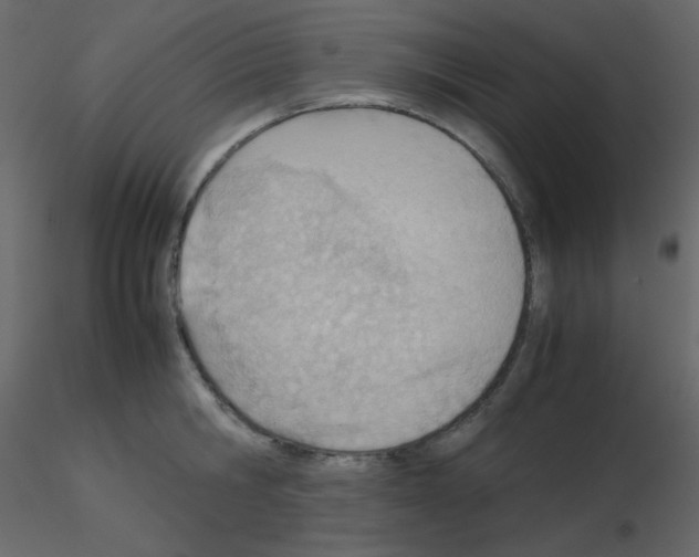 X0000115780806200912241809