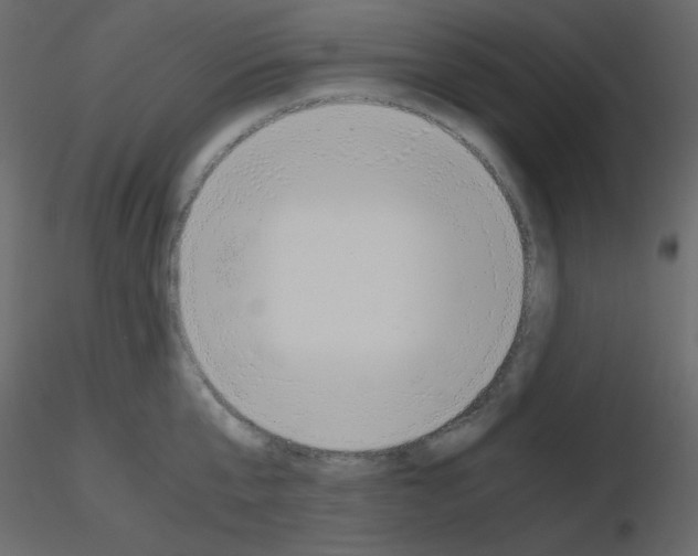 X0000115780807200912241809