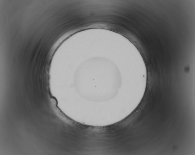 X0000115780808200912241809