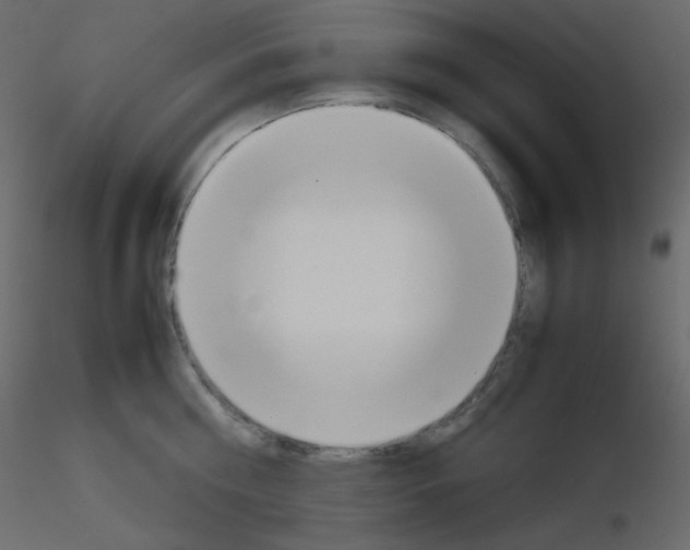 X0000115780810200912241809