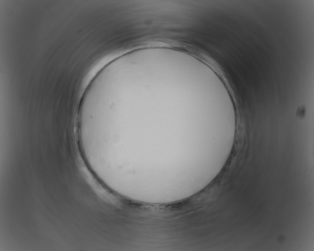 X0000115780811200912241809