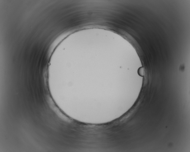 X0000115780812200912241809