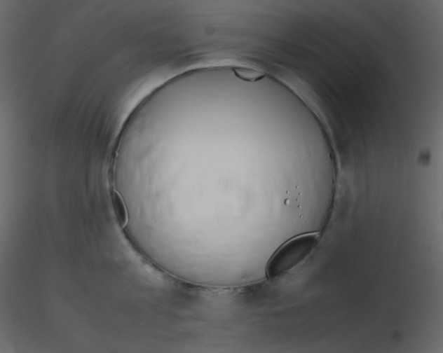 X0000115780813200912241809