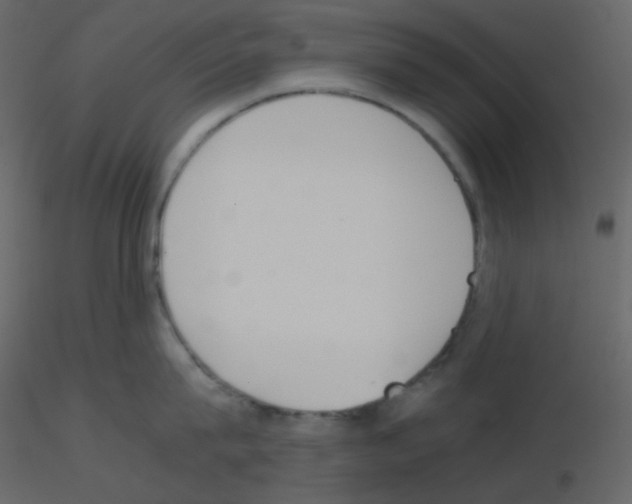 X0000115780815200912241809