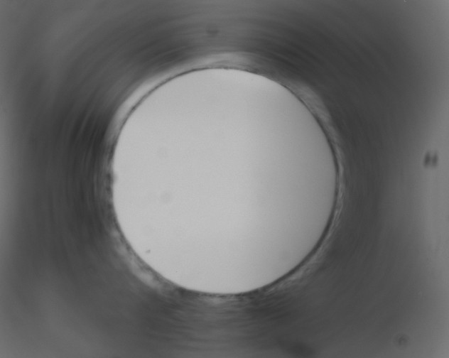 X0000115780816200912241809