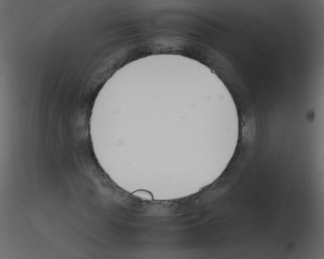 X0000115780819200912241809