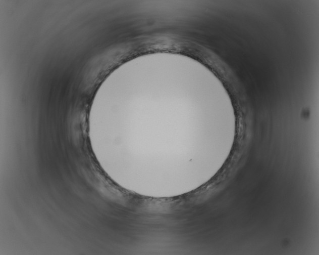 X0000115780820200912241809