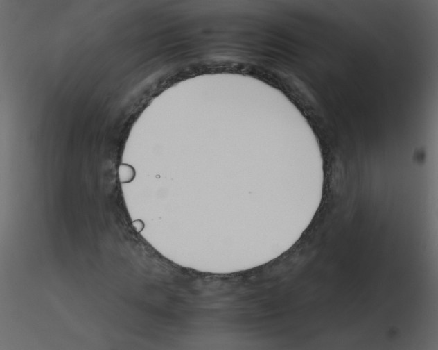 X0000115780821200912241809