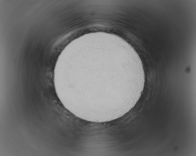 X0000115780822200912241809