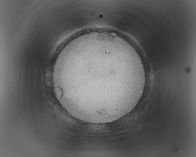 X0000115780823200912241809