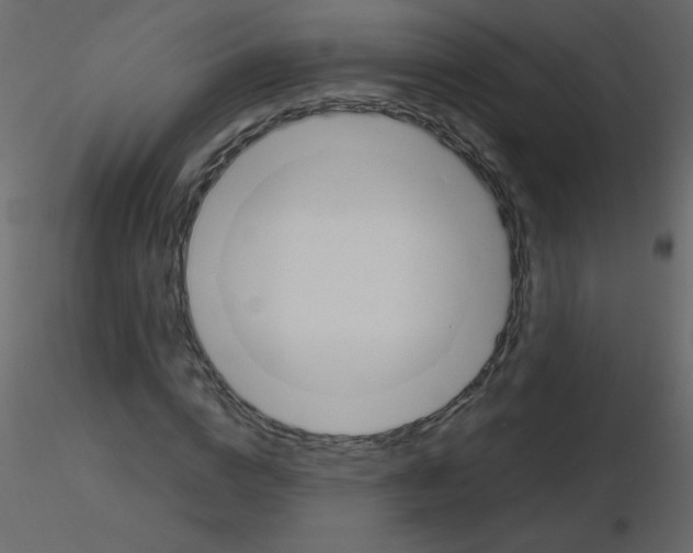 X0000115780824200912241809