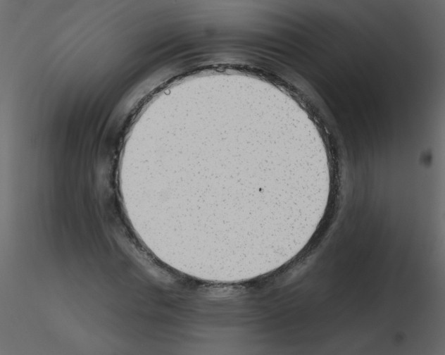 X0000115780826200912241809