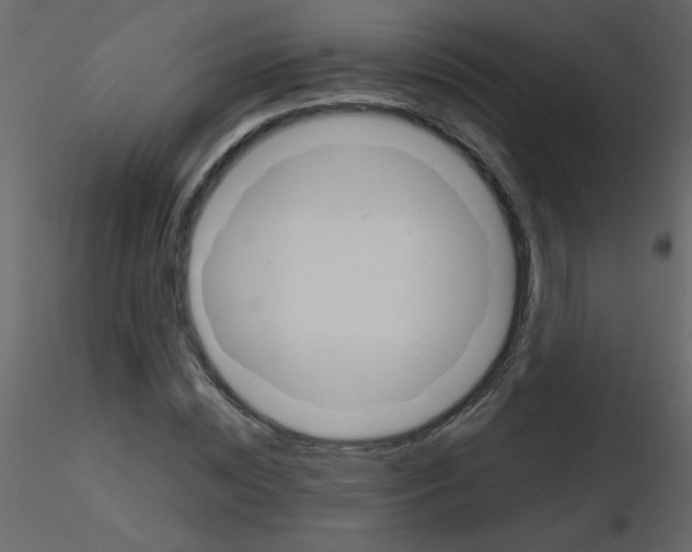 X0000115780828200912241809