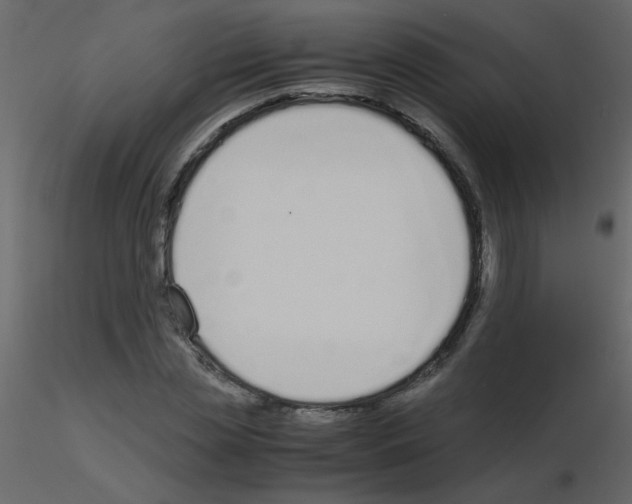 X0000115780829200912241809