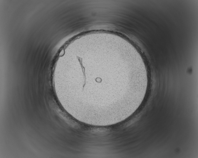 X0000115780830200912241809