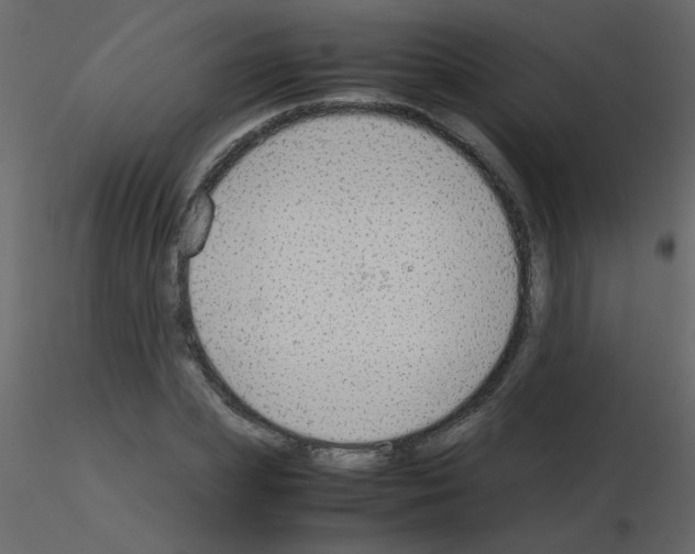 X0000115780831200912241809