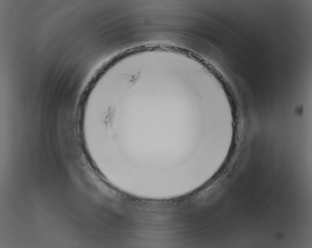 X0000115780832200912241809