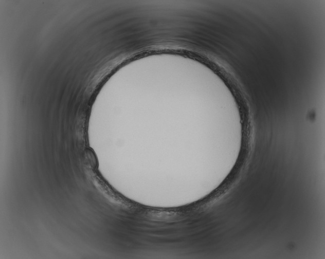 X0000115780833200912241809